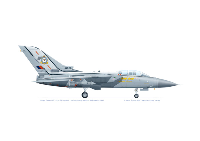 Panavia Tornado F.3 25 Squadron 1990