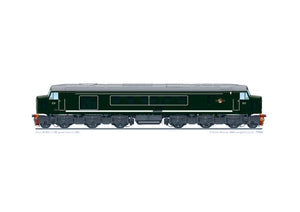 Class 45 D31 BR green