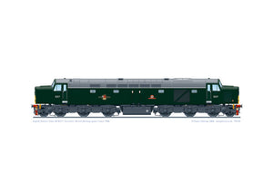 Class 40 D217 'Carinthia'