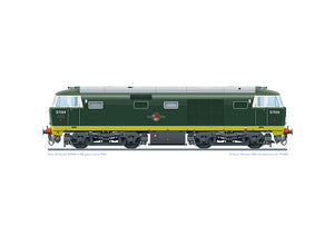 Class 35 locomotive D7004 in the two-tone BR livery