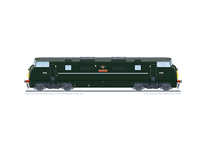 Class 42 Warship D825 'Intrepid' BR green – WWR Gallery