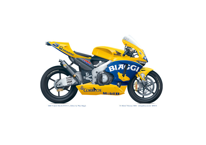 Camel Honda Pons RCV211 2003 Biaggi – WWR Gallery