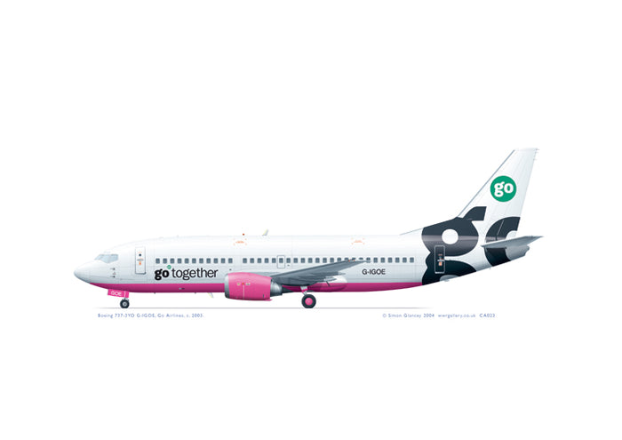 Boeing 737-3YO Go