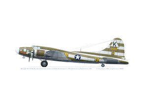 Boeing B-17F 41-9100 'Birmingham Blitzkreig'