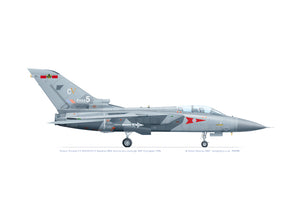 Panavia Tornado F.3 ZH555 5 Squadron 80th Anniversary 1996