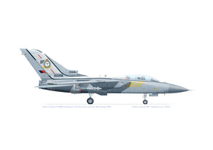 Panavia Tornado F.3 ZE838 25 Squadron 75th anniversary 1990