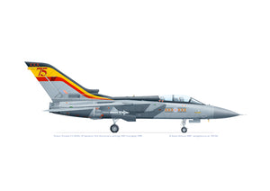Panavia Tornado F.3 ZE205 29 Squadron 75th anniversary