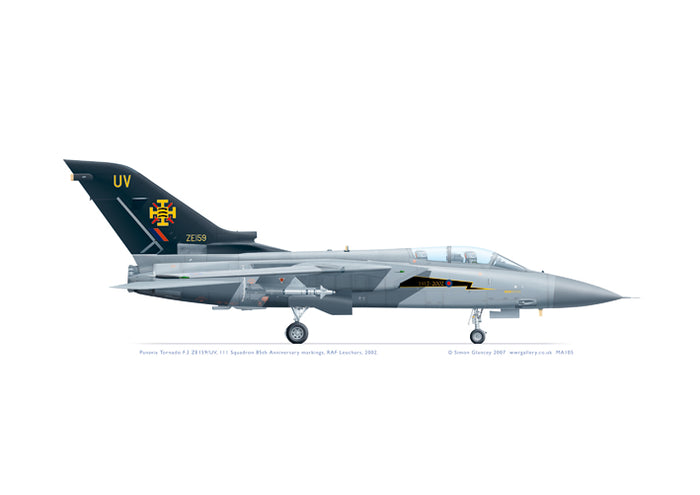 Panavia Tornado F.3 111 Squadron