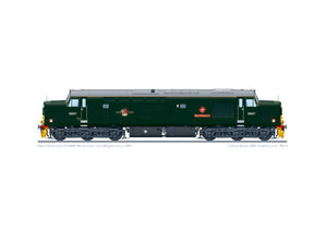 Class 37 D6607 'Ben Cruachan' BR green