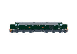 Class 40 D231 'Sylvania'